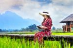 Young Woman Reading A Book And Sitting On Wooden Path With Green Rice Field In Vang Vieng, Laos Stock Photo