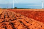 Rural Field With The Blue Sky Stock Photo