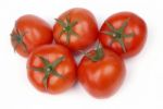 Tomatoes Stock Photo