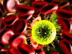 Virus And Blood Cells  Stock Photo