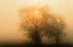 Misty Landscape Stock Photo