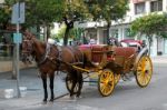 Marbella, Andalucia/spain - July 6 : Horse And Carriage In Marbe Stock Photo