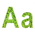 English Alphabet Made From Green Grass On White Background Stock Photo