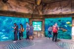 Zhuhai, Guangdong, China- Nov 9, 2017 : Tourist Looking At Fish In Huge Aquarium At The Zhuhai Chimelong Ocean Kingdom Park In Zhuhai, China Stock Photo