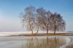 Snow Melting On The Fields. Warm Winter Stock Photo