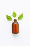 Basil Essential Oil With Basil Leaves On White Stock Photo