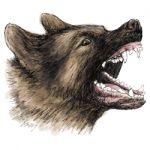 Angry German Shepherd Hand Drawn Stock Photo