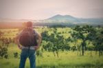 Backpacker In The Forest Stock Photo