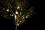 Lanterns Hanging From Tree Stock Photo