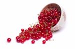 Tasty Red Currant Berries Stock Photo