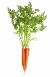 Carrots Stock Photo