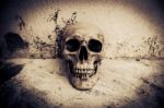 Human Skull On Ruins Place Stock Photo