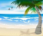 Tropical Beach Stock Photo