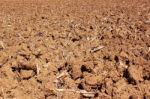 Plowed Land Stock Photo