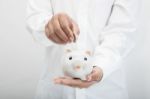 Piggy Bank Stock Photo