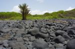 Senegal, Isle De La Madeleine Stock Photo