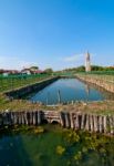 Venice Burano Mazorbo Vineyard Stock Photo