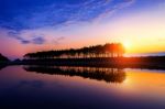 Silhouette And Reflections Of Row Tree At Sunset Stock Photo