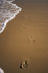 Sunshine Beach At Noosa, Sunshine Coast Stock Photo