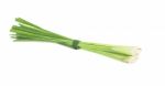 Lemongrass Stock Photo