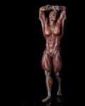 Standing Human Anatomy Stock Photo