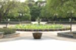 Blurred Image Of Lily Pond Park Stock Photo