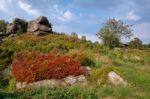 Scenic View Of Brimham Rocks In Yorkshire Dales National Park Stock Photo