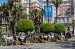 Traditional Horses And Carriages Waiting For Customers In Malaga Stock Photo