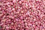 Red Onions Stock Photo