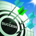 Success On Dartboard Showing Accomplished Progress Stock Photo