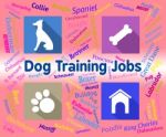 Dog Training Jobs Indicates Canines Jobs And Employment Stock Photo