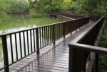 Wooden Bridge Over The Lake Through The Forest Stock Photo