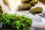 Soft Waterfall With Green Plant  On The Rock Rainy Season,mun Da Stock Photo