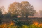 Foggy Spring Sunrise Stock Photo