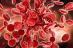 Stream Of Blood Cells Stock Photo