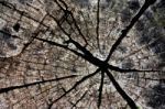 Cracked Of Wood Stock Photo