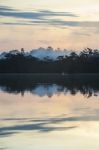 Early Morning In Amazonian Rainforest. Lake Cuyabeno Laguna Gran Stock Photo