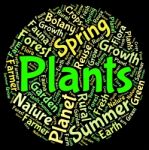 Plants Word Means Herbage Text And Botanical Stock Photo