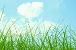 Sky And Grass Background Stock Photo