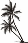 Palm Tree Stock Photo