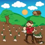 Farmer And Onion Plants A Harvest  Cartoon Stock Photo