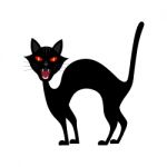 Halloween Growl Black Cat Stock Photo