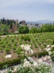 Granada, Andalucia/spain - May 7 : View Of The Alhambra Palace G Stock Photo