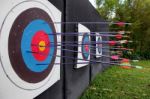 Target Archery And Many Arrow Stock Photo