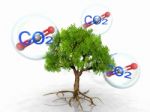 The Tree And Carbon Dioxide Stock Photo