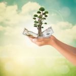 Hands Holding Us Dollars Note With Bonsai Tree Stock Photo