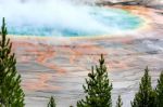 Grand Prismatic Spring Stock Photo