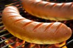 Grilled Sausage Stock Photo