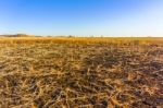 Farmers Fields In Sudan Stock Photo