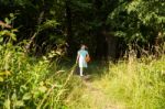 Little Girl Goes Out Of The Forest Stock Photo